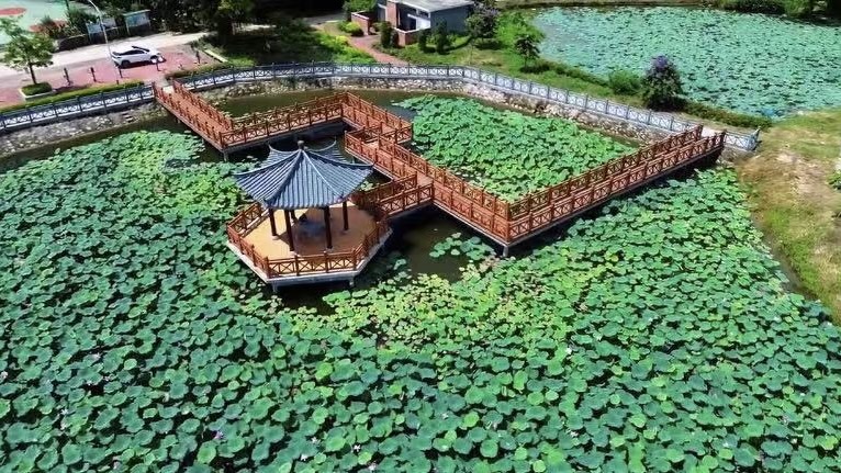 蒋家村风景3